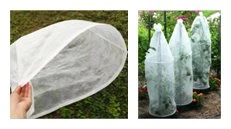 product-231-129 tomato growhouse spiral stake on plant PDT032-04_